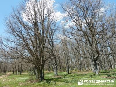 La pradera de la ermita de San Benito;clubs en madrid;municipios de segovia